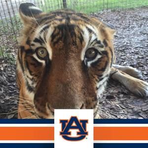 Meet your Posher, Honey